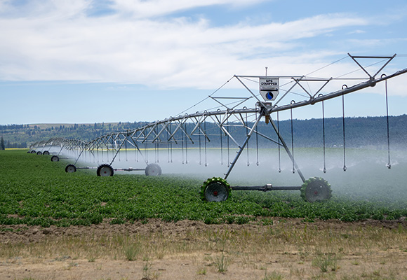 Irrigação de terras agrícolas